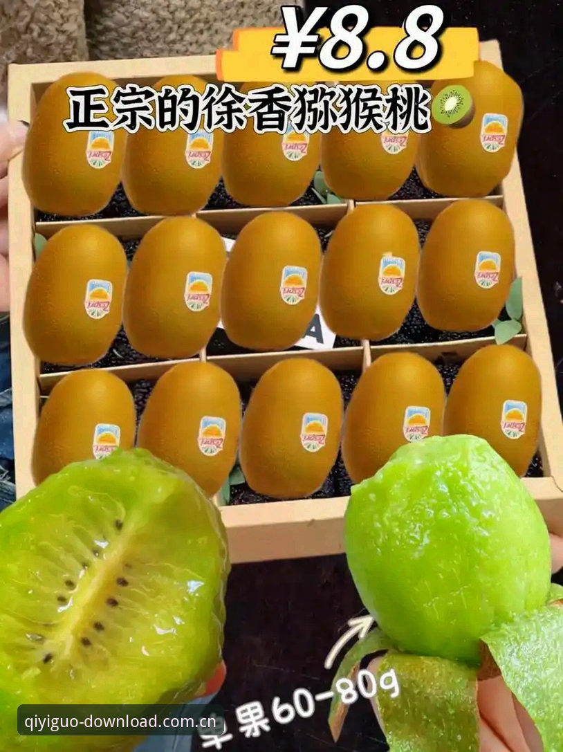 奇异果体育2024官网教程：正版下载 vs 第三方渠道，哪个更可靠？