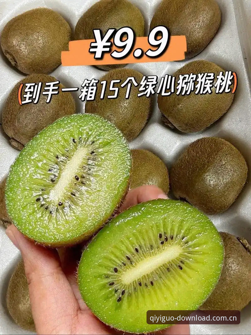 奇异果体育官网使用指南：从免费下载到安装的完整新手教程