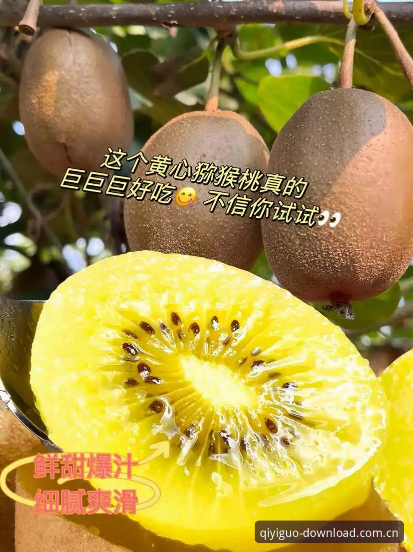 奇异果体育官方安装教程深度评测：2024年最新版App体验全解析