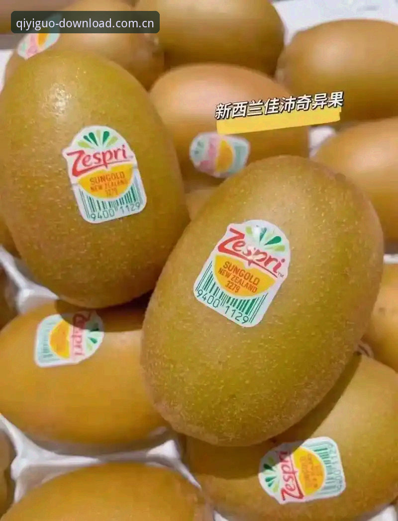奇异果体育官网安全吗 奇异果体育官网安全吗?2024新手必备的正版下载实用指南