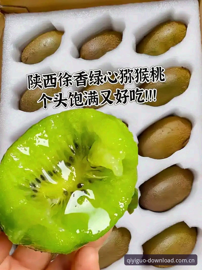 奇异果体育官网使用指南：从免费下载到安装的完整新手教程