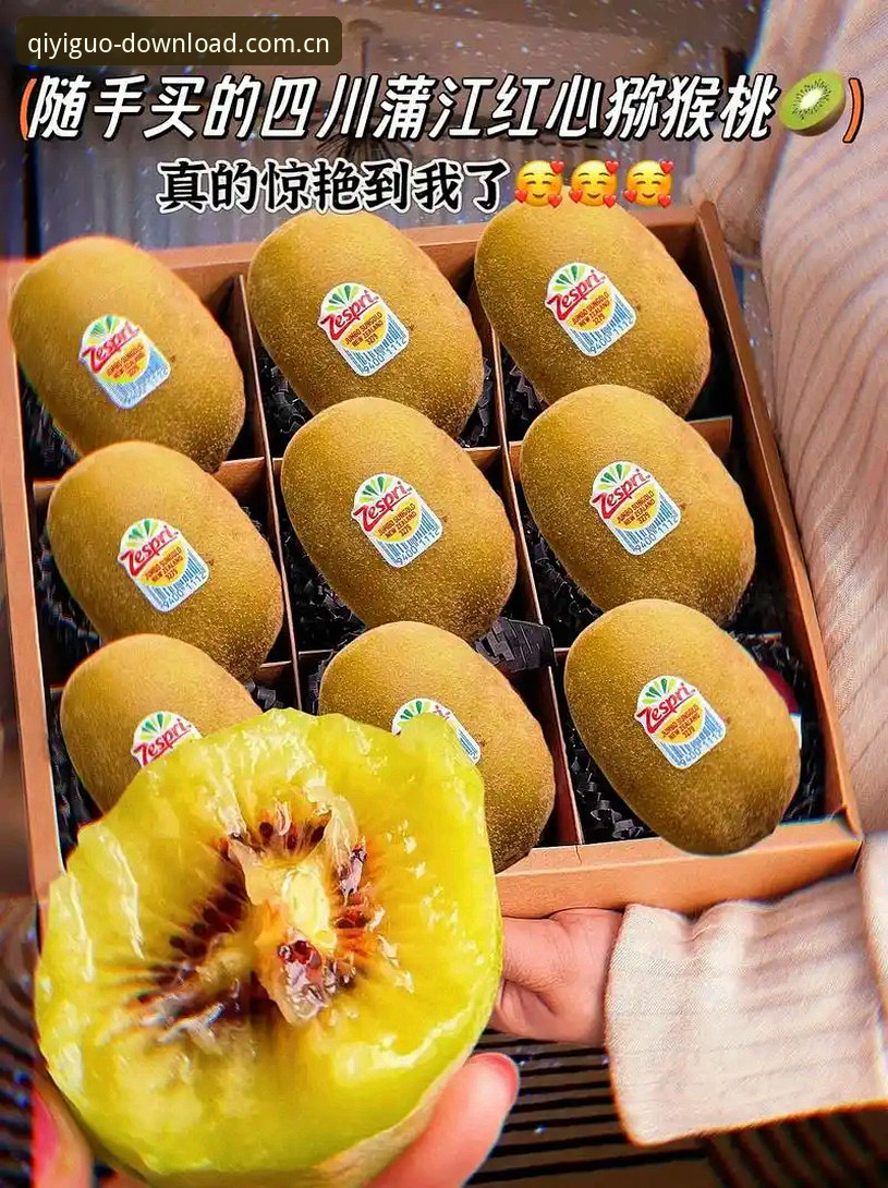 奇异果体育安全吗攻略 新手必看:奇异果体育安全吗攻略——资深用户分享2024年正版下载与使用心得